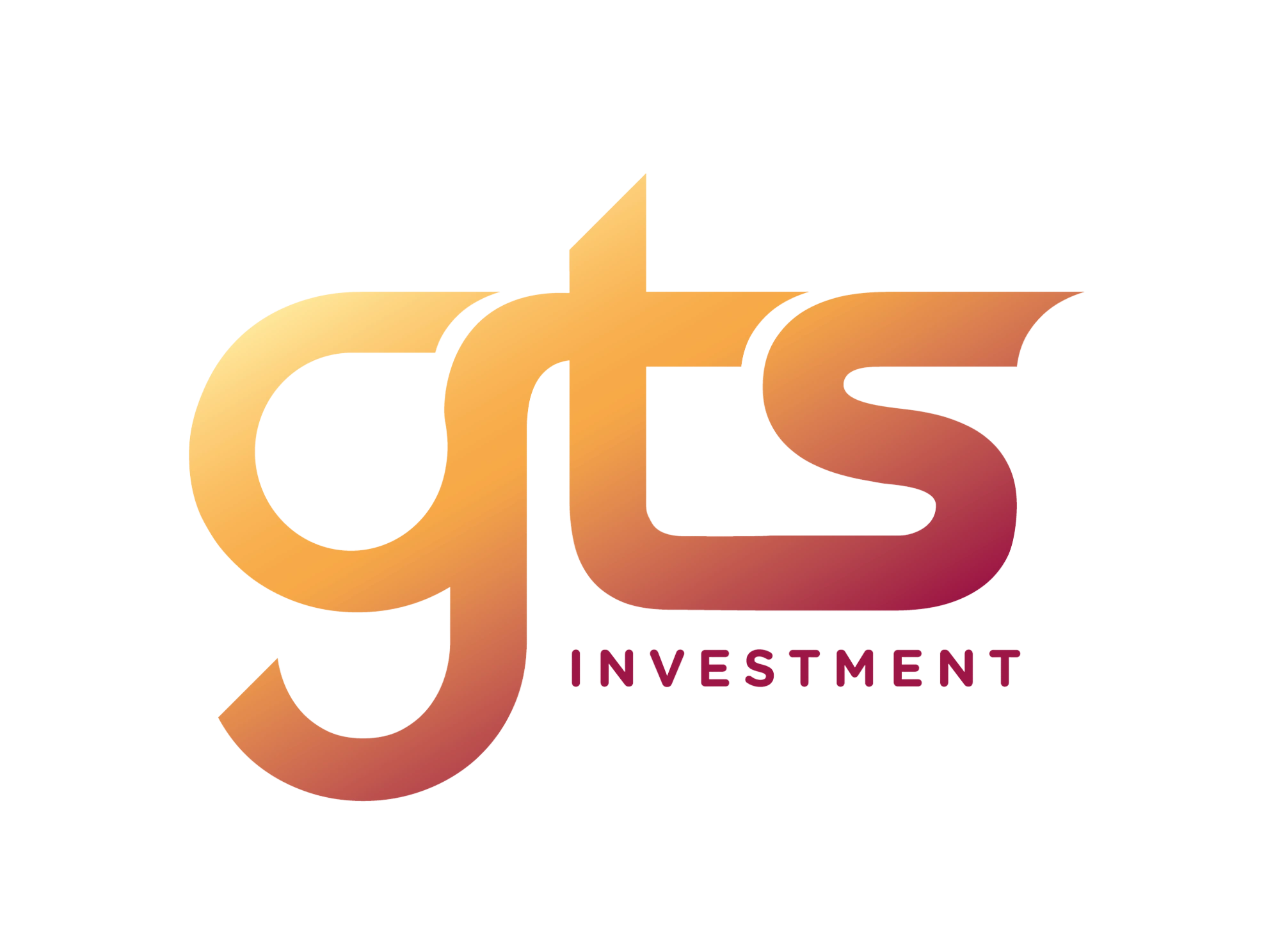 GTS Investment Kft.